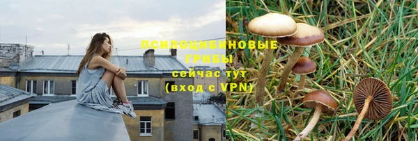 гидропоника Абинск